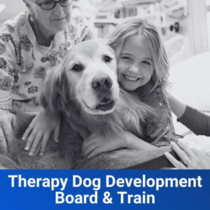 Therapy Dog Development Board and Train