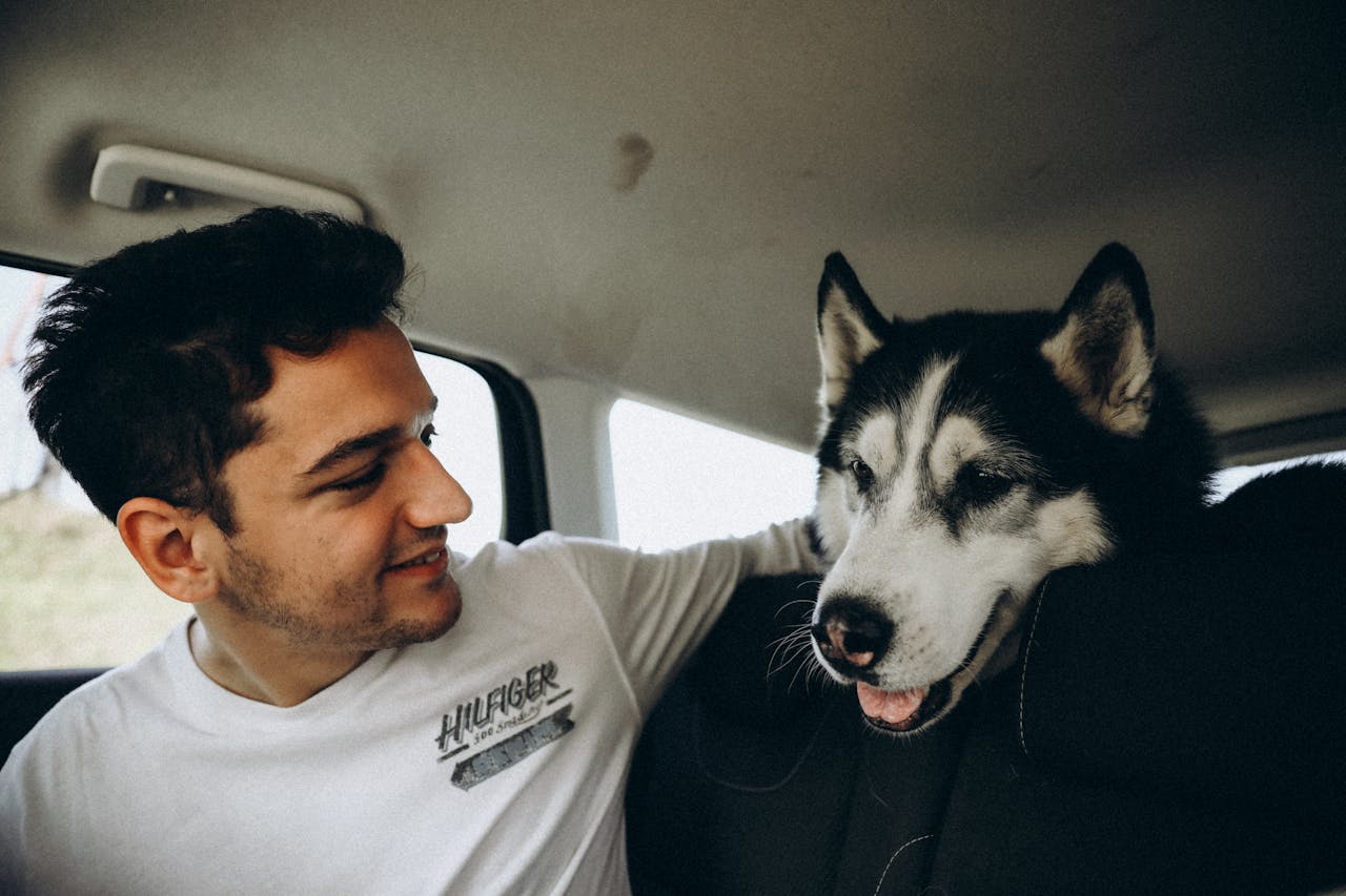 Training Your Dog to Ride Calmly in the Car