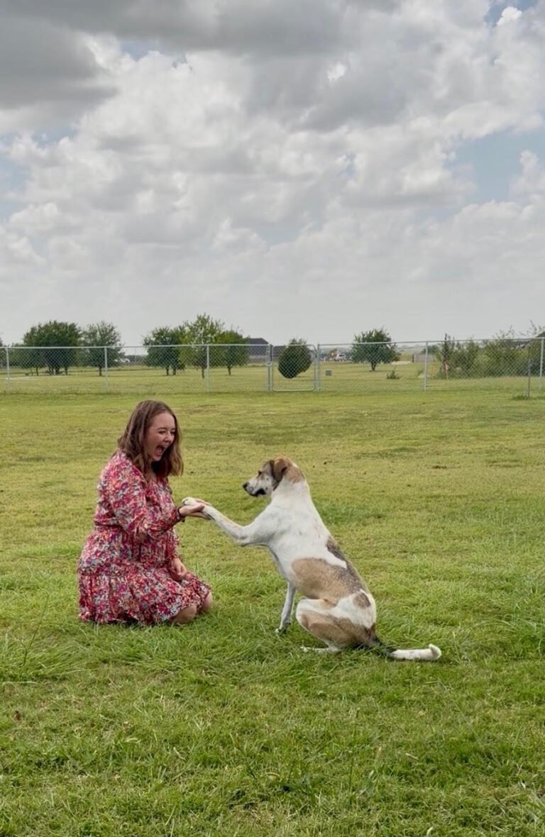 Katie Koppari — Off Leash K9 Training of Oklahoma City