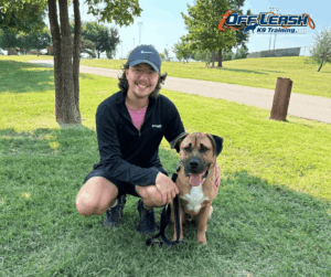 Brown dog sitting politely beside trainer outdoors